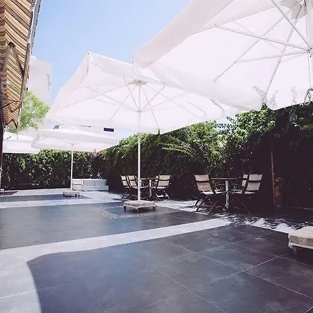 Apartment Vega